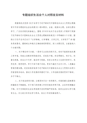 党支部书记专题组织生活会个人对照发言材料.docx