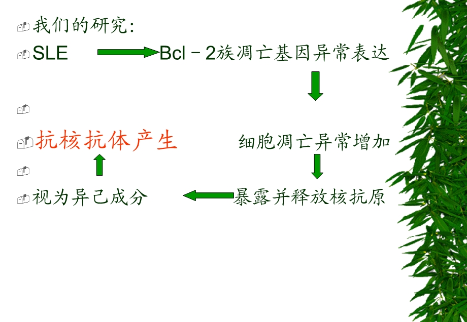 风湿病与自身抗体讲稿.ppt_第3页