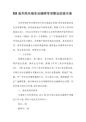 XX县天然水域非法捕捞专项整治实施方案.docx