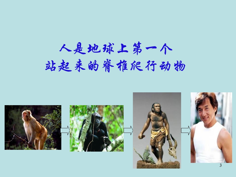 颈腰痛的防治知识.ppt_第3页