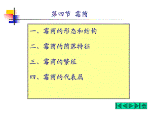 霉菌的形态和结构.ppt