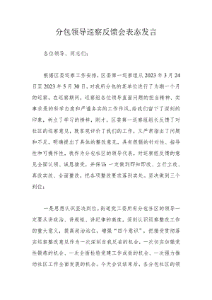 分包领导巡察反馈会表态发言 .docx