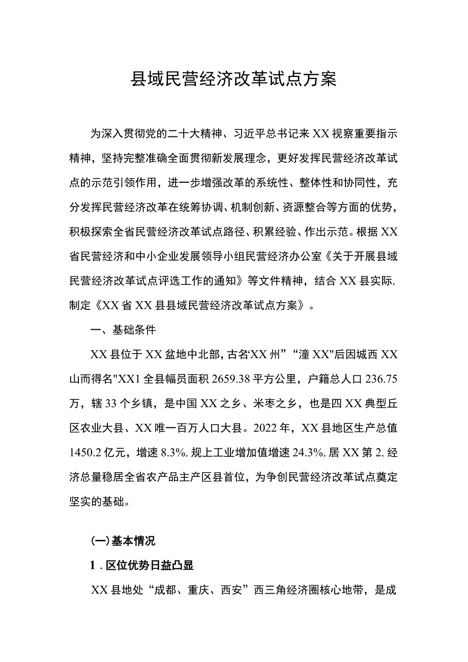 县域民营经济改革试点方案.docx_第1页