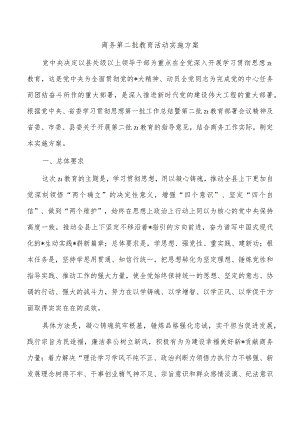 商务第二批教育活动实施方案.docx