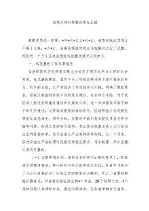 巡视反馈问题整改情况汇报 .docx