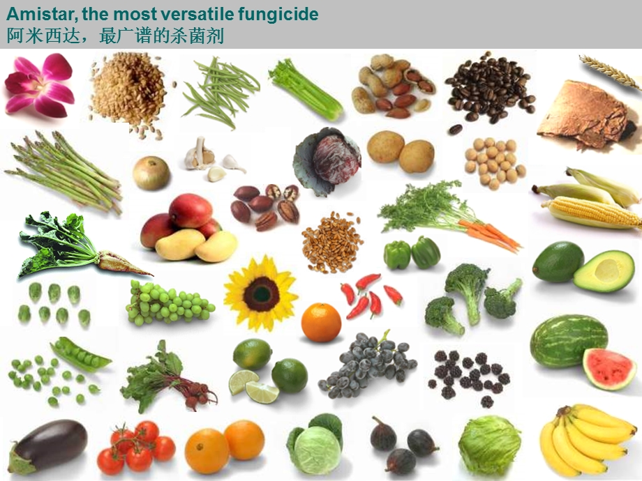 阿米西达在蔬菜果树上应用.ppt_第2页
