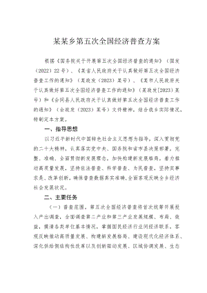 某某乡第五次全国经济普查方案.docx