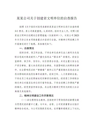 某某公司关于创建省文明单位的自查报告.docx