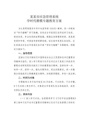 某某市应急管理系统学时代楷模专题教育方案.docx