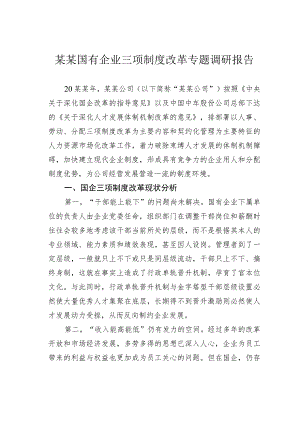 某某国有企业三项制度改革专题调研报告.docx