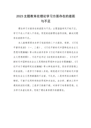 （12篇）2023主题教育在理论学习方面存在的差距与不足通用范文.docx