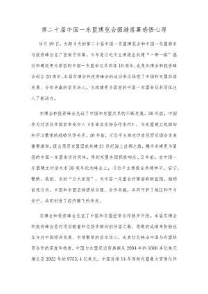 第二十届中国—东盟博览会圆满落幕感悟心得.docx