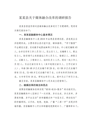 某某县关于媒体融合改革的调研报告.docx