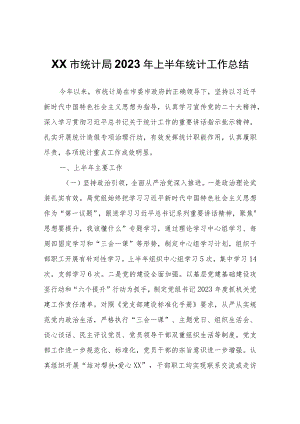 XX市统计局2023年上半年统计工作总结.docx