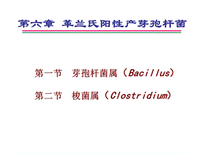 革兰氏阳性产芽孢杆菌.ppt