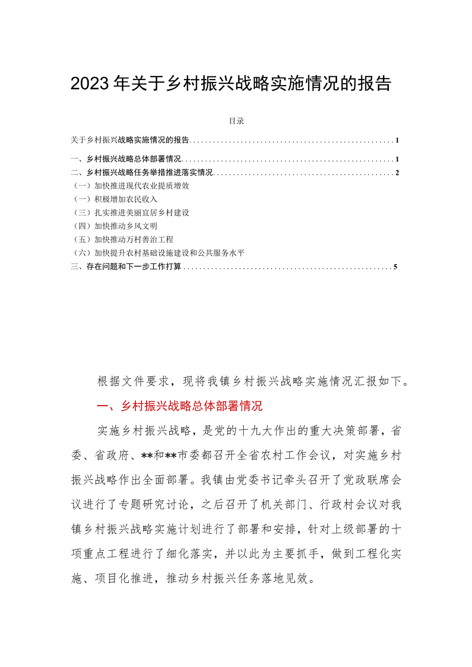 2023年关于乡村振兴战略实施情况的报告.docx_第1页