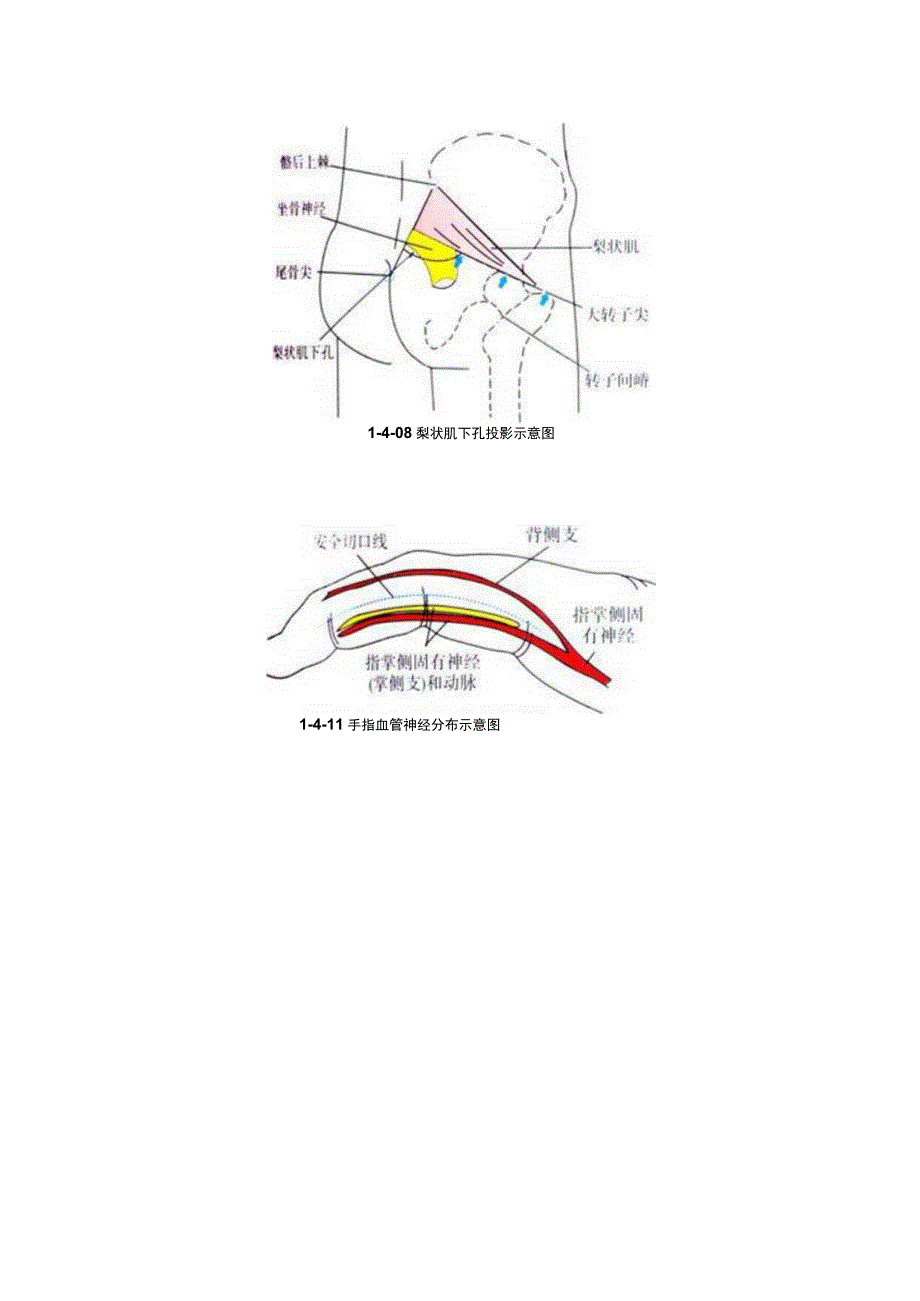 针刀医学《针刀入路示意图》.docx_第3页