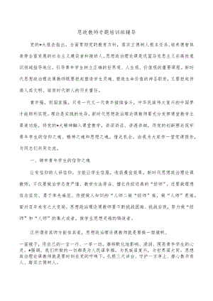 思政教师专题培训班辅导.docx