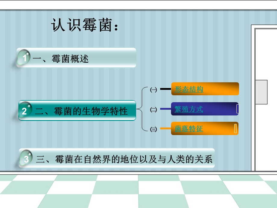 霉菌完结版第四组.ppt_第2页