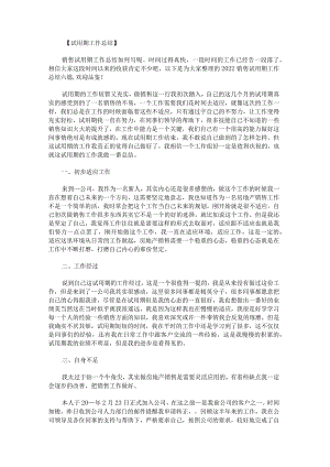 2022销售试用期工作总结.docx