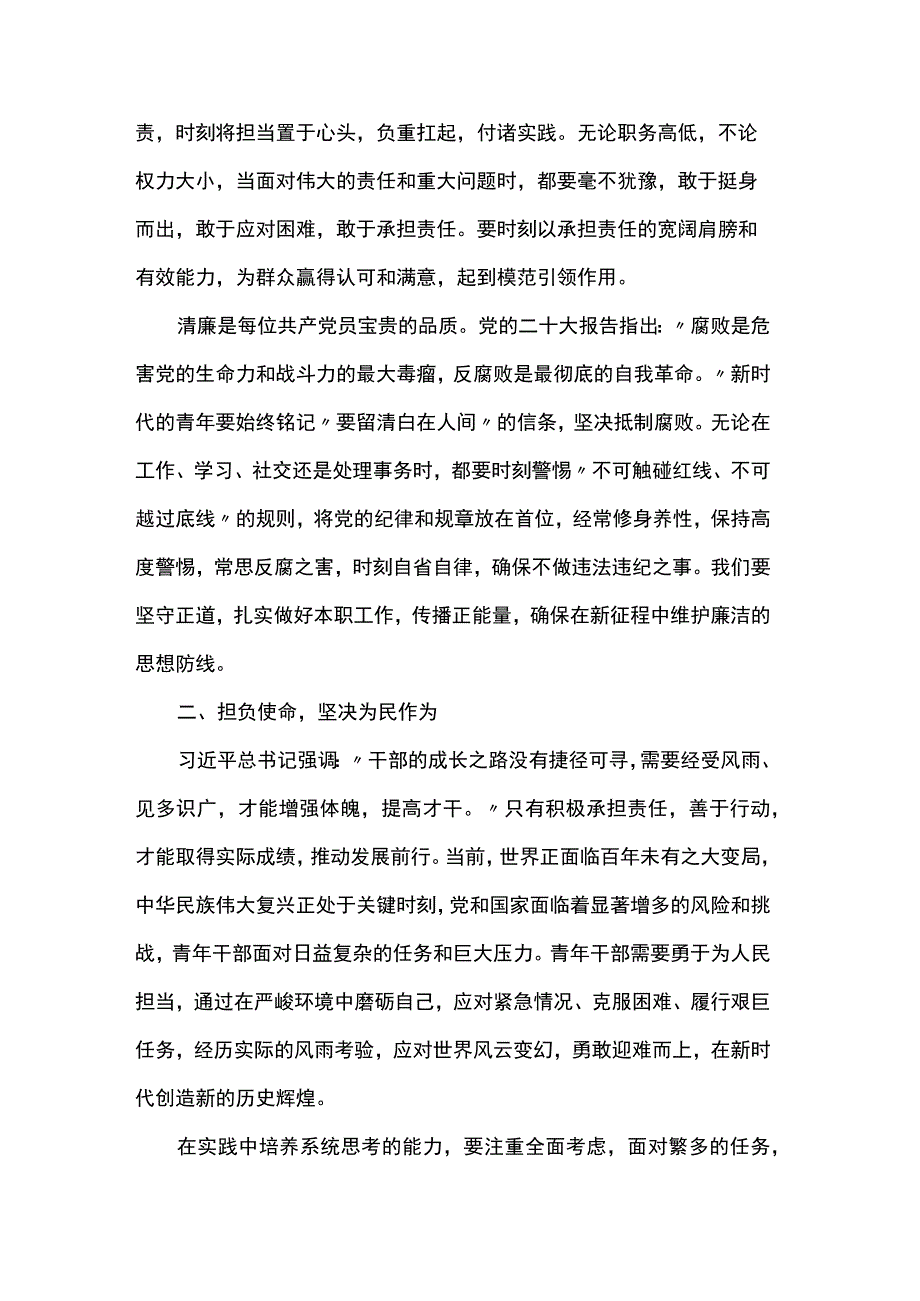 党课：青年应践行使命担当实干无悔 .docx_第2页