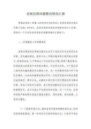 巡视反馈问题整改情况汇报.docx