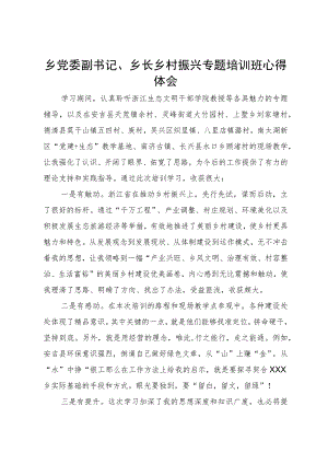 乡党委副书记、乡长乡村振兴专题培训班心得体会.docx