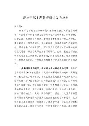 青年干部主题教育研讨发言材料.docx