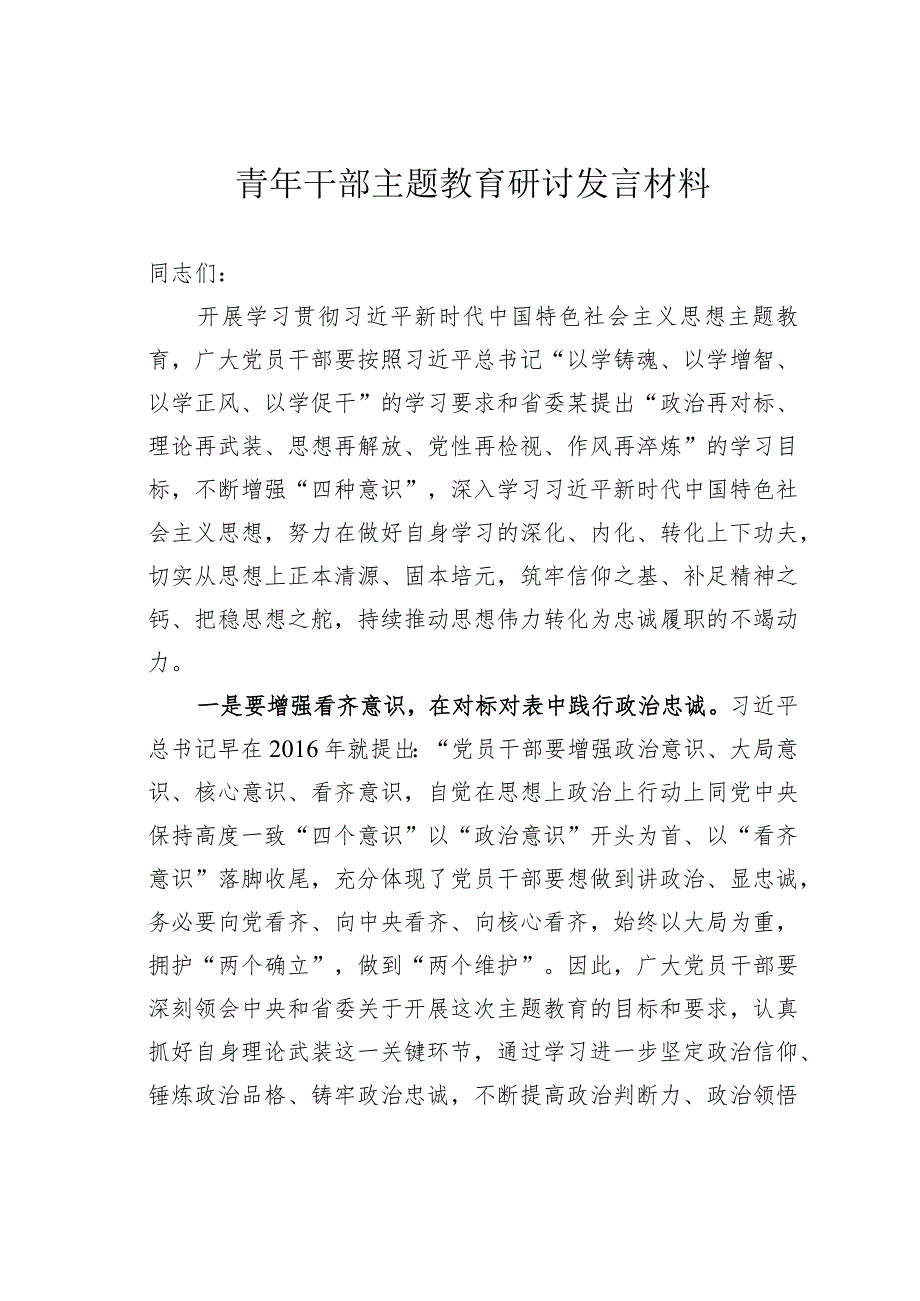 青年干部主题教育研讨发言材料.docx_第1页