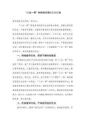 三会一课制度落实情况汇报.docx