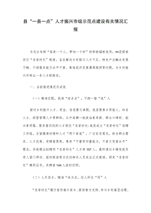 县“一县一点”人才振兴市级示范点建设有关情况汇报.docx