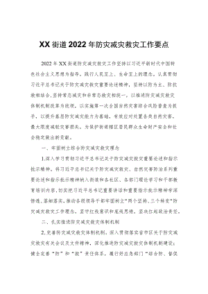 XX街道2022年防灾减灾救灾工作要点.docx