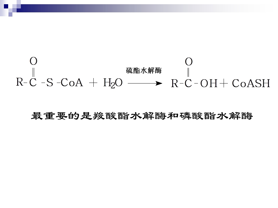 食品酶学酯酶和过氧化物酶89.ppt_第2页