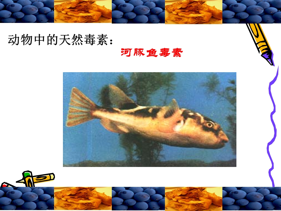 食品中有害有毒物质.ppt_第3页