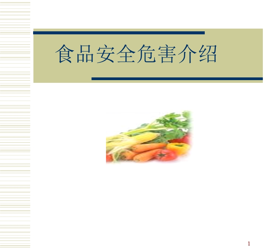 食品安全危害综述.ppt_第1页