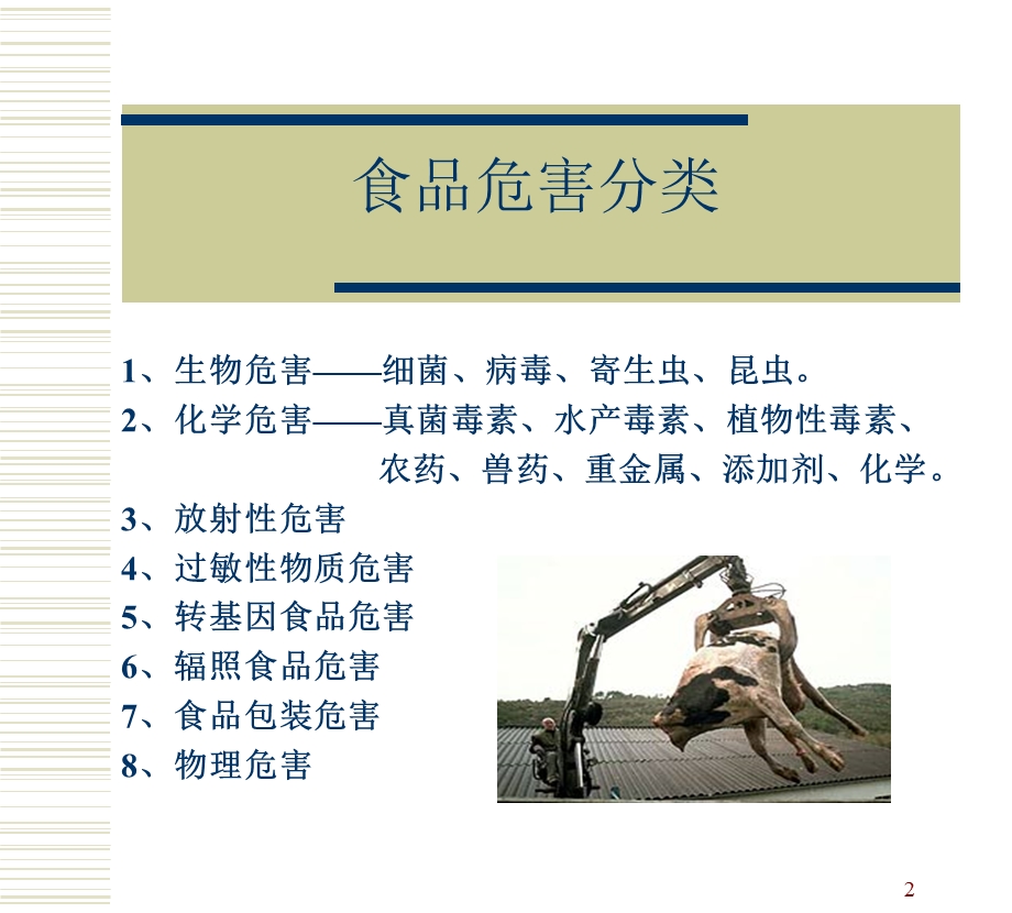 食品安全危害综述.ppt_第2页