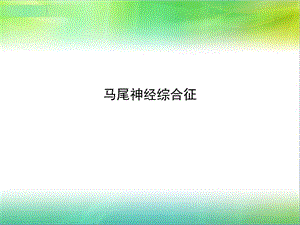 马尾神经综合征.ppt