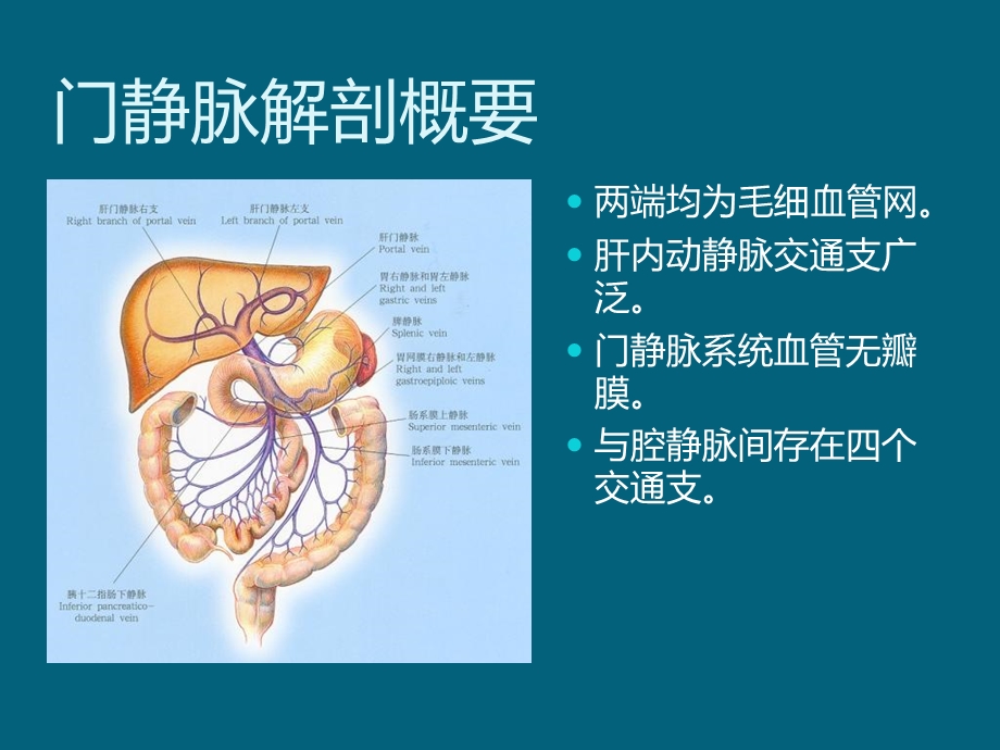 门静脉高压症.ppt_第2页