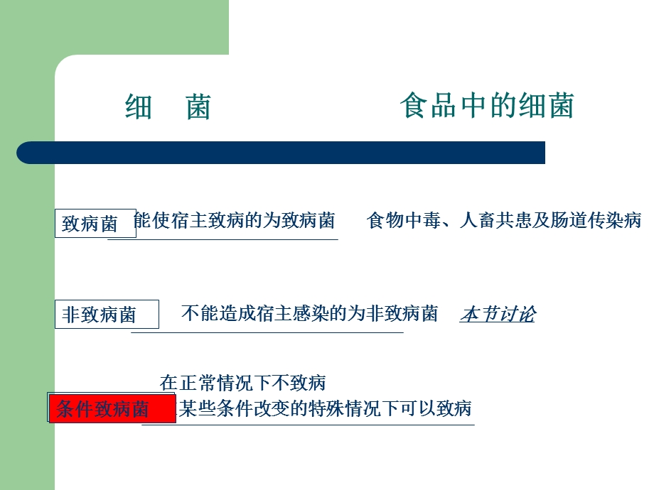 食品的细菌污染及其预防1.ppt_第2页