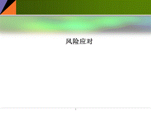 风险应对.ppt