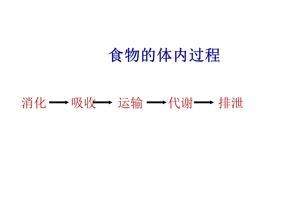 食物的体内过程.ppt_第3页