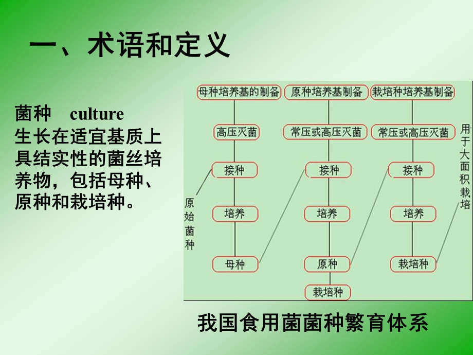 食用菌菌种标准使用指南.ppt_第3页