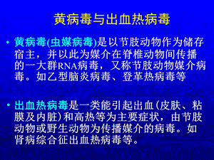 黄V出血热V疱疹V.ppt