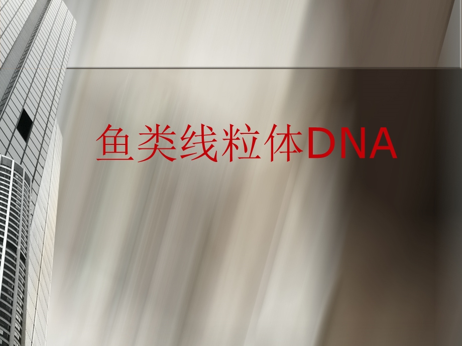 鱼类线粒体DNA.ppt_第1页