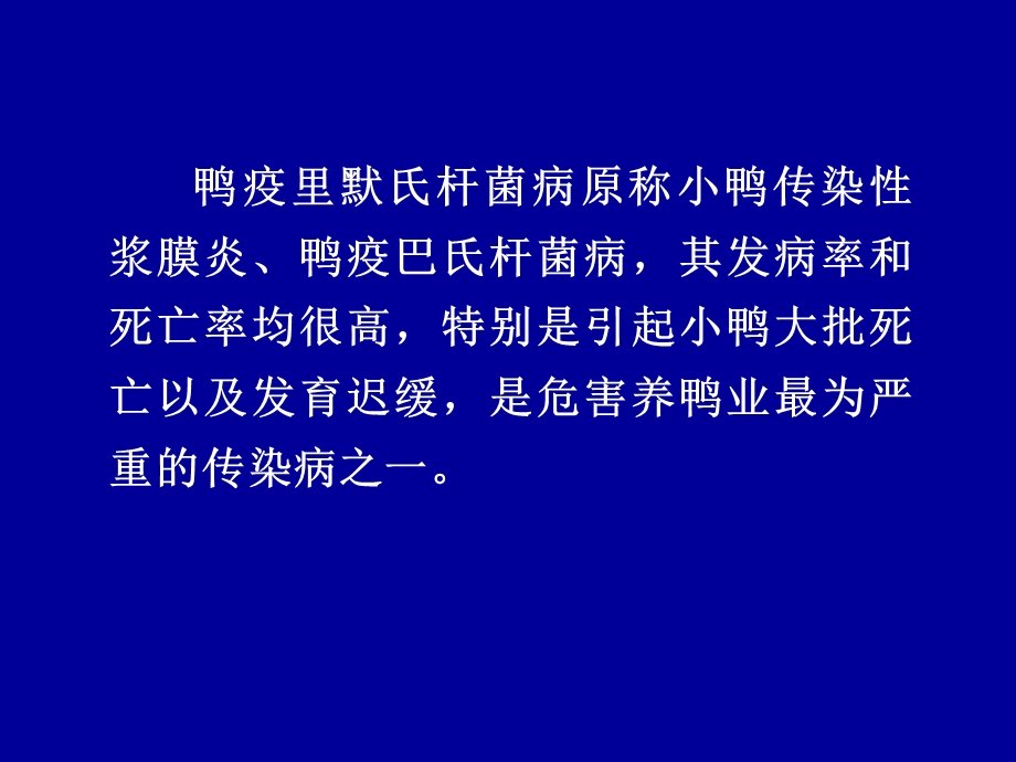 鸭疫里默氏杆菌病.ppt_第2页