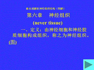 麻木通解析神经组织结构图解.ppt