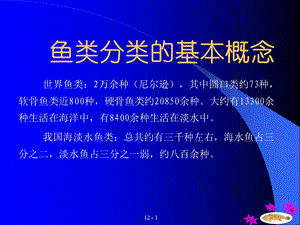 鱼类分类的基本概念.ppt