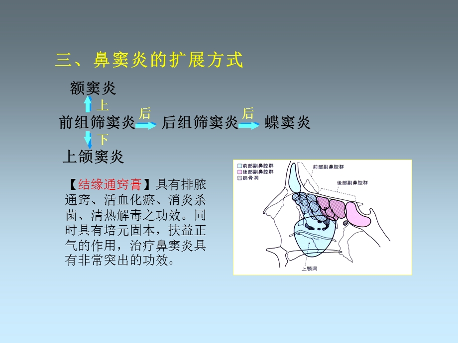 鼻窦炎的食疗验方.ppt_第3页