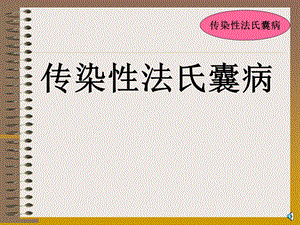 鸡传染性法氏囊病培训课件.ppt