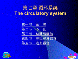 鱼类学循环系统.ppt